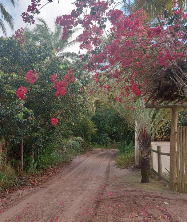 Photo of Others in Barra Grande