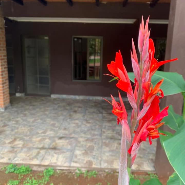 Photo of Others in Puerto Iguazu