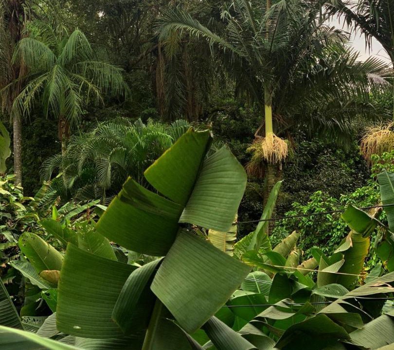 Photo of Others in Puerto Iguazu