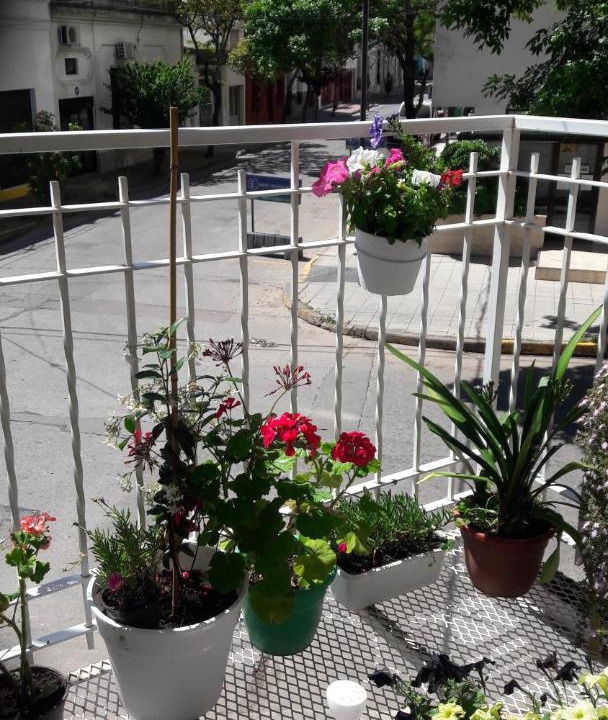 Photo of Patio Balcony in Pergamino