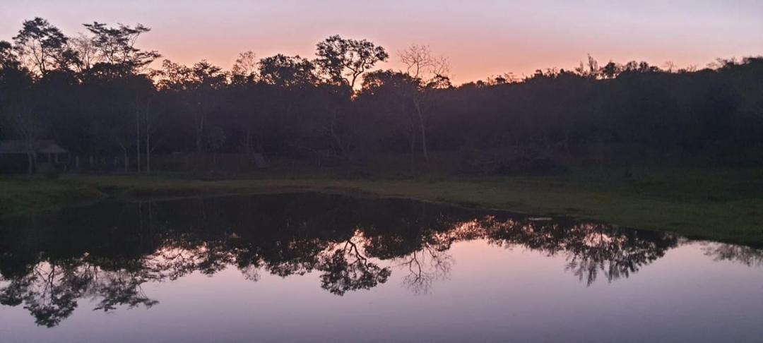 Photo of Others in Bonito