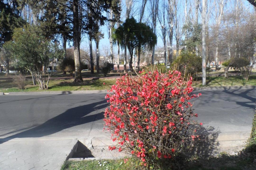 Photo of Others in Godoy Cruz