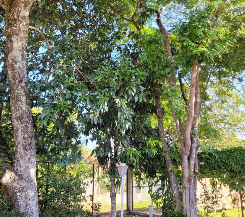 Photo of Outdoor in Itirapina