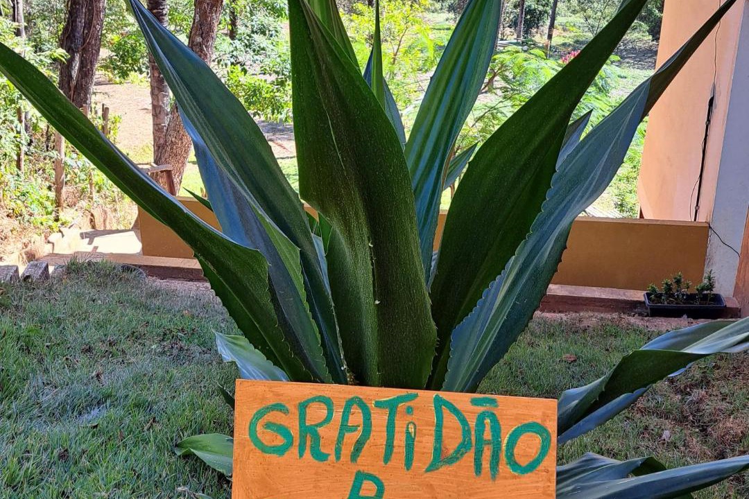 Photo of Others in Santana do Riacho