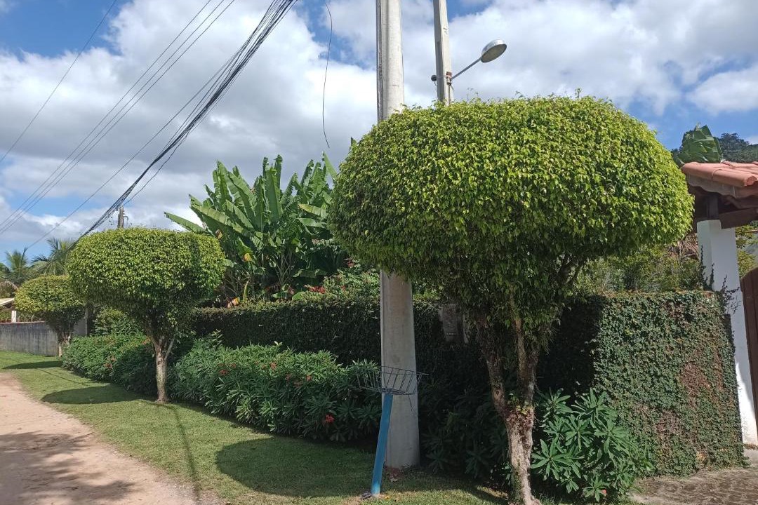 Photo of Others in Guararema