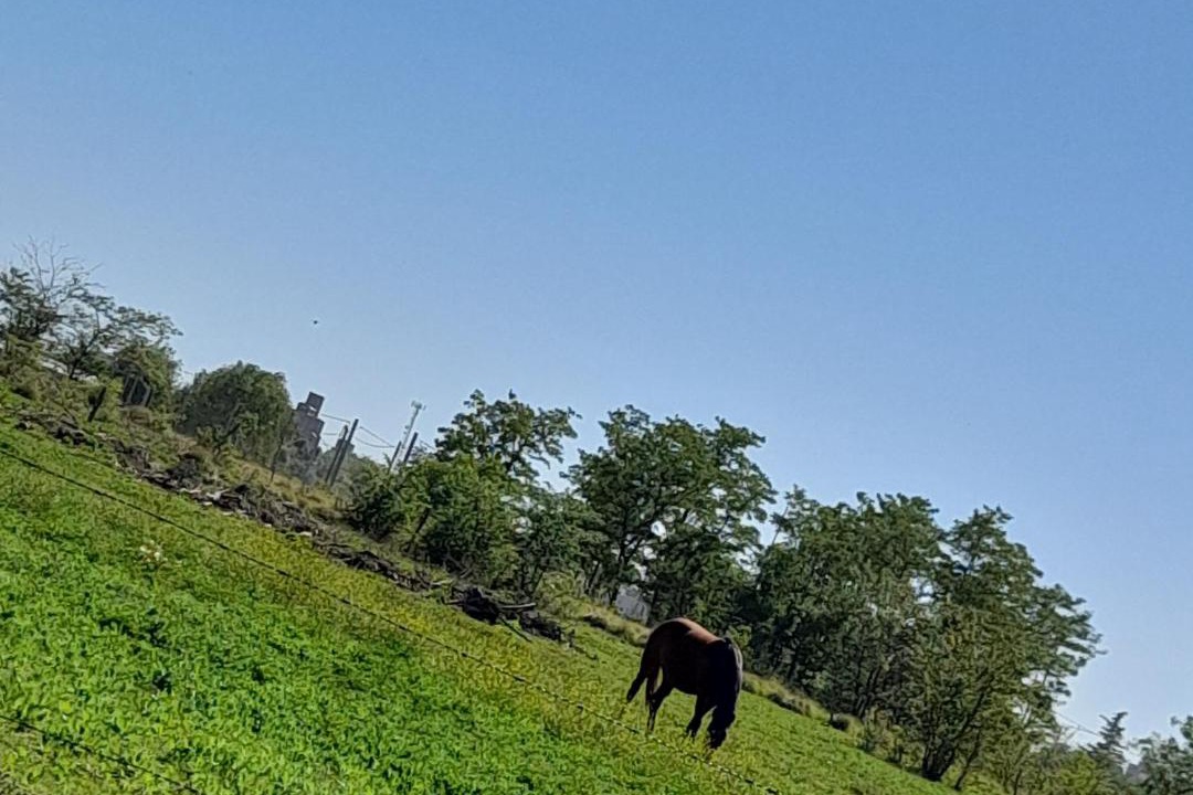 Photo of Others in Junin