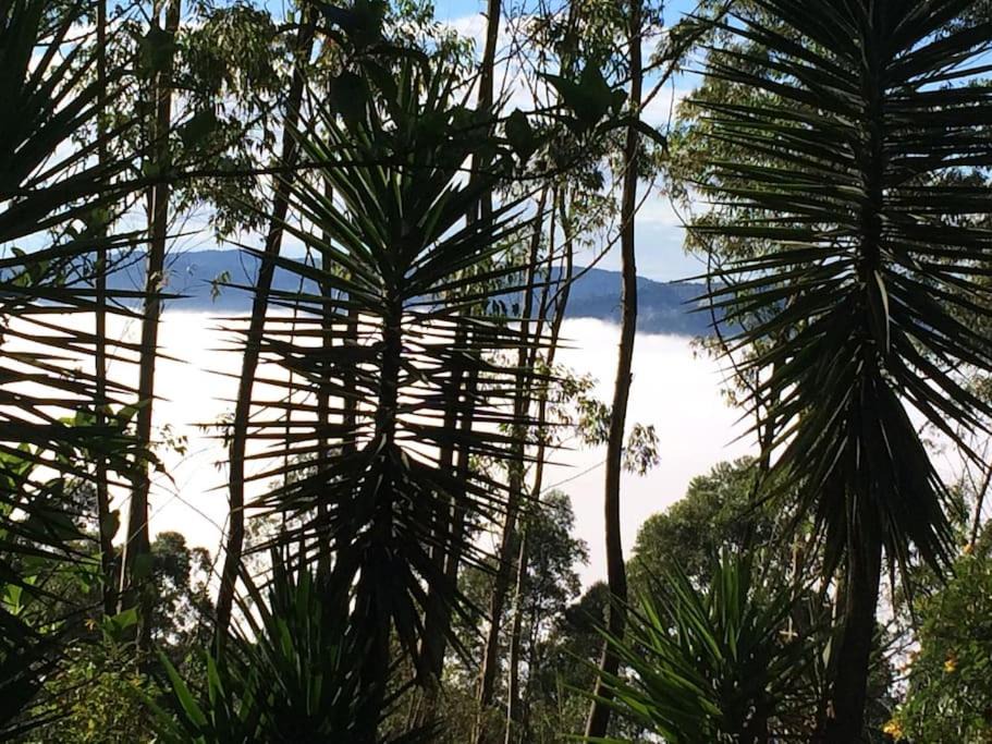 Photo of Others in Mairipora