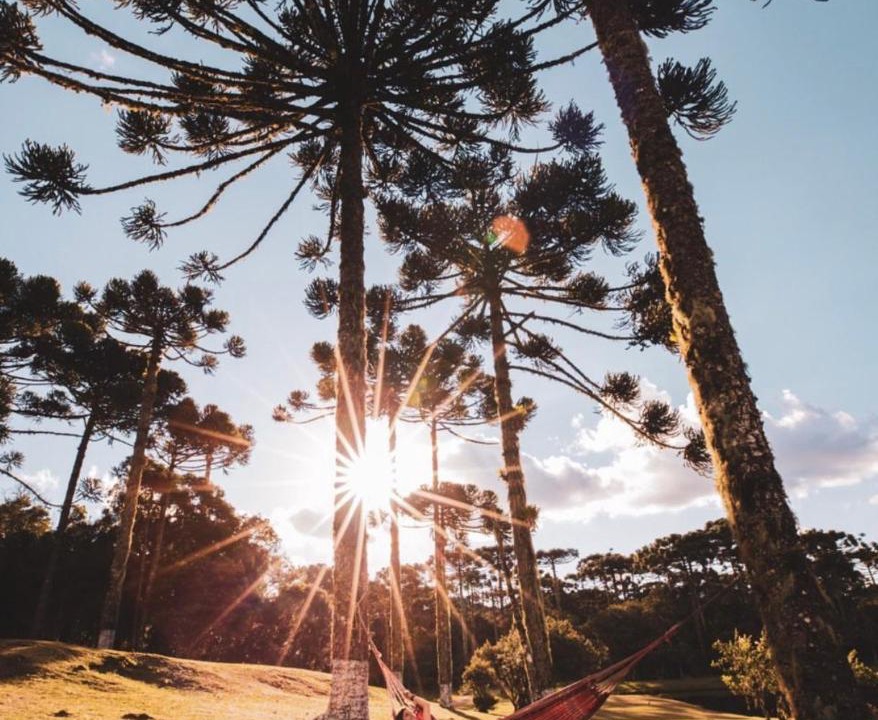Photo of Others in Cambara do Sul