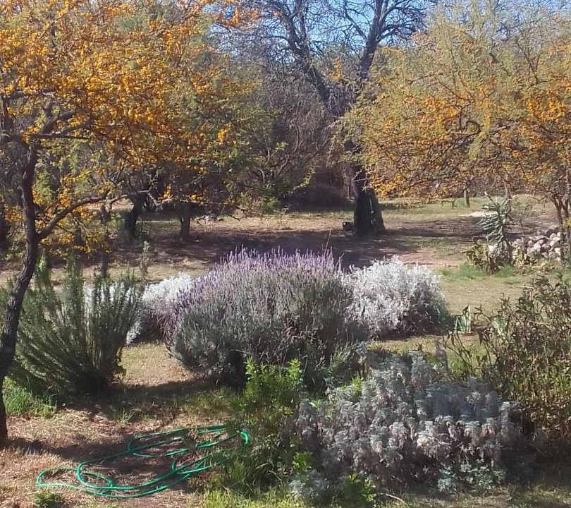 Photo of Outdoor in San Javier