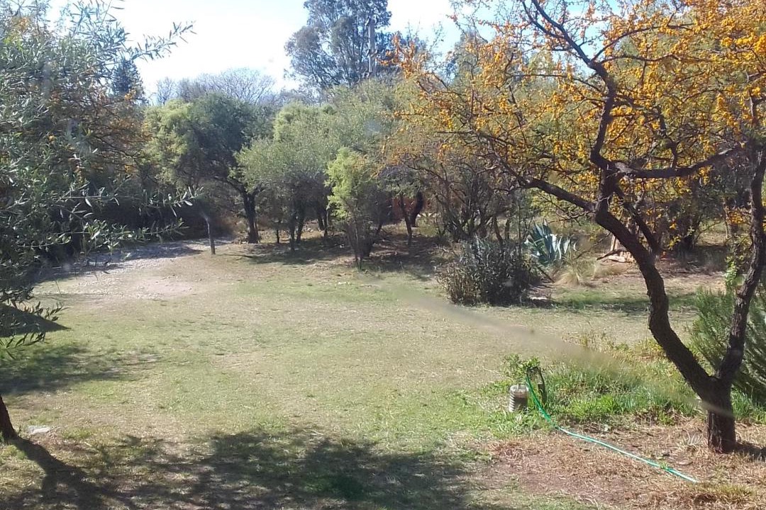 Photo of Outdoor in San Javier