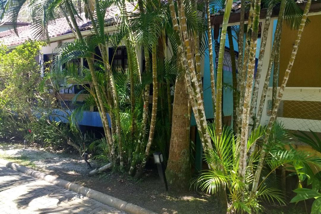 Photo of Others in Camburi