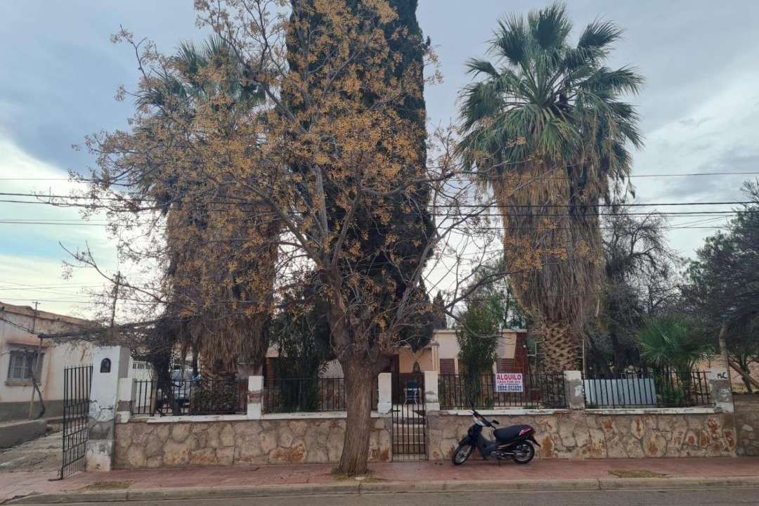 Photo of Buildings in Villa Union