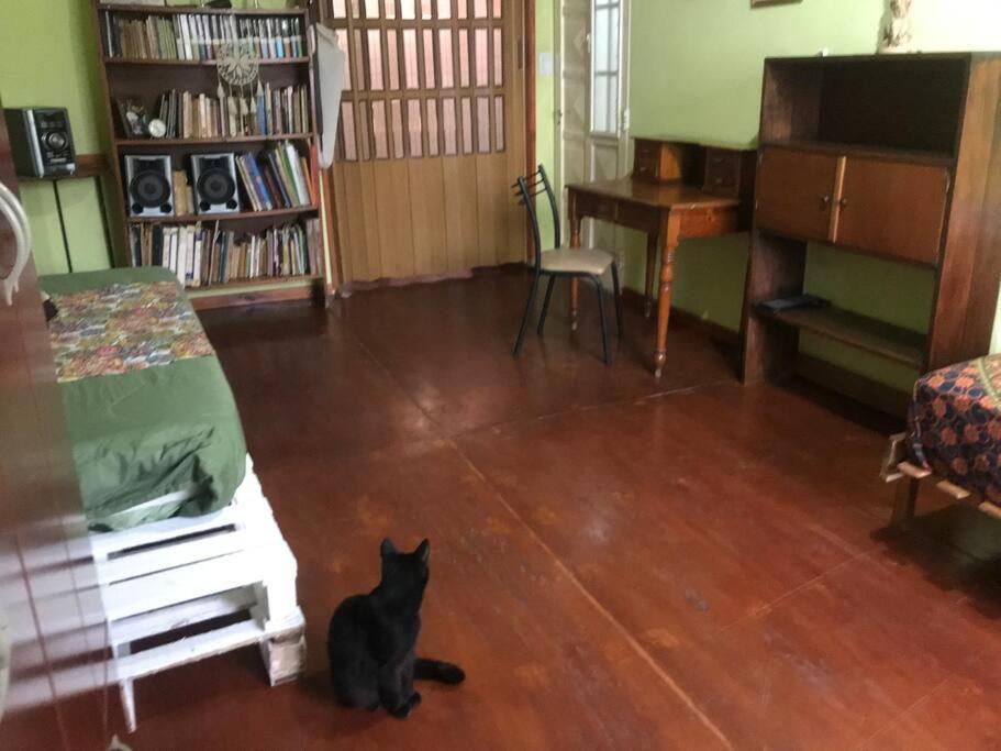 Photo of Livingroom in Gualeguaychu