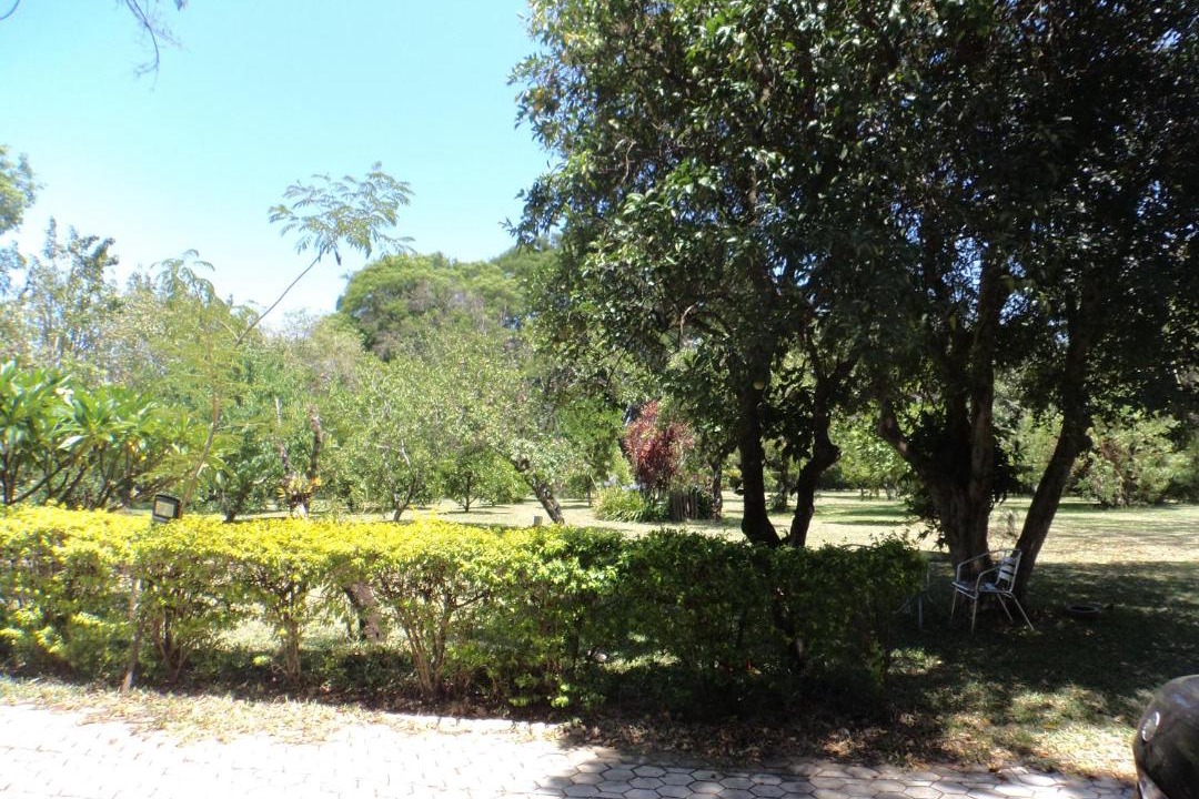 Photo of Others in Tres de Outubro