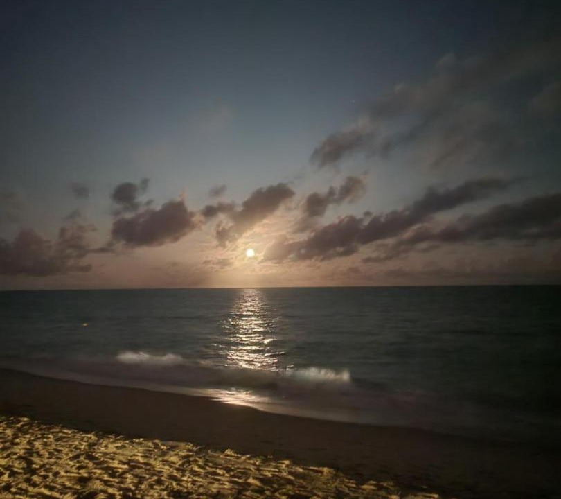 Photo of Others in Taperapua Beach