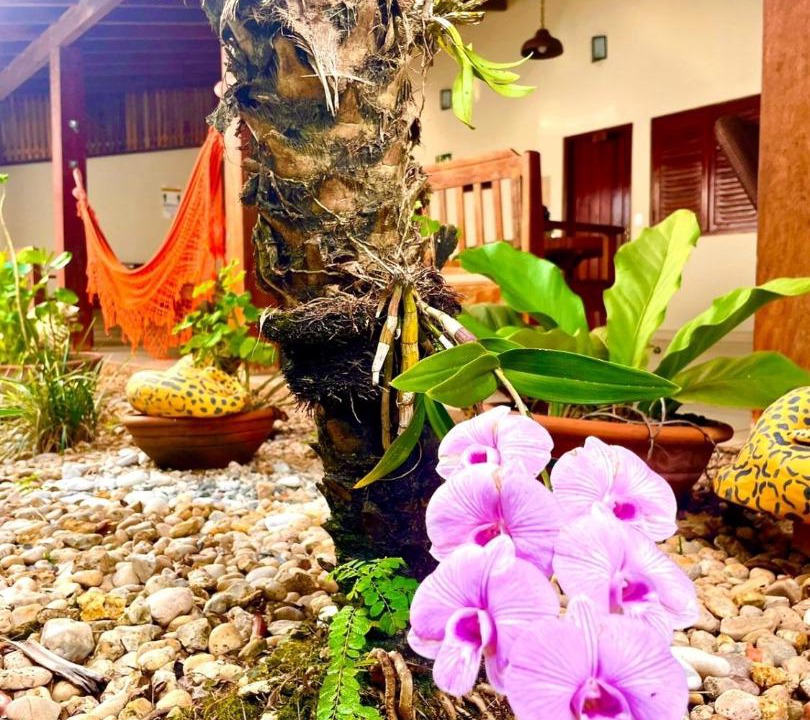 Photo of Others in Alvorada
