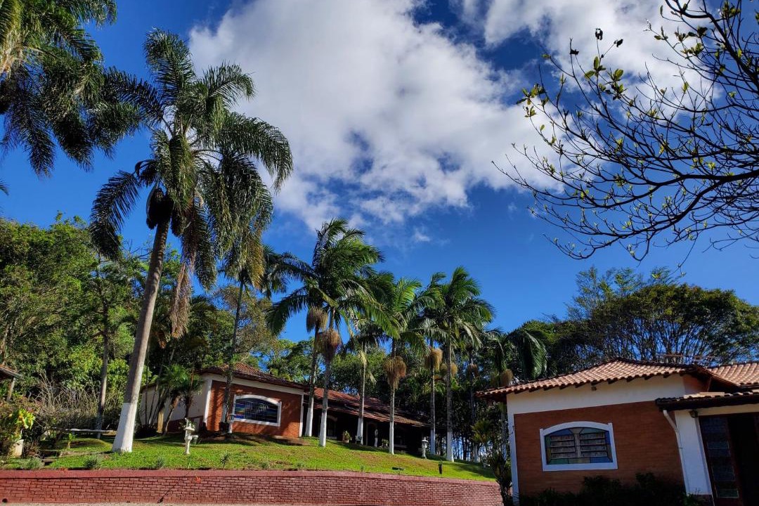 Photo of Buildings in Suzano