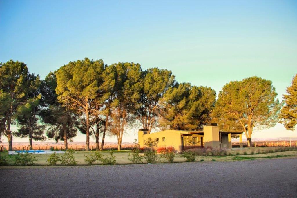 Photo of Buildings in Agrelo