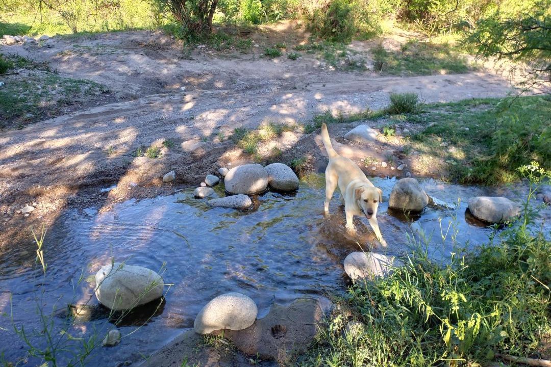 Photo of Others in San Marcos Sierra