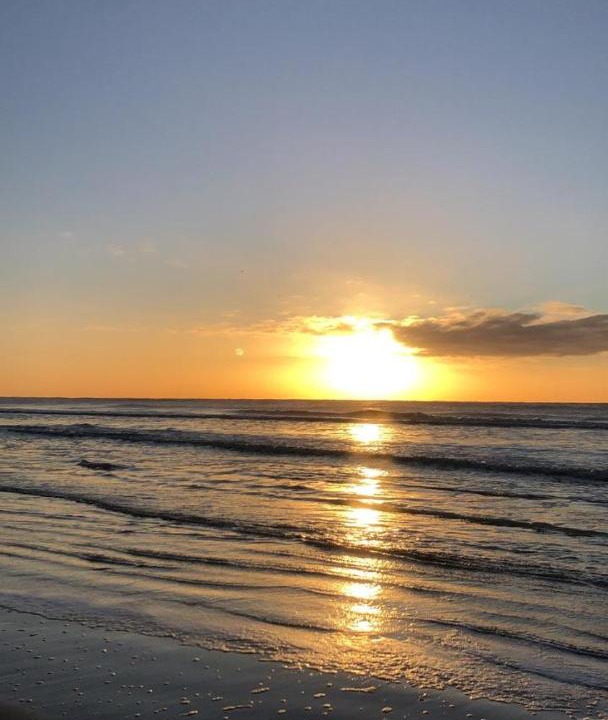 Photo of Others in Mar de Ajo