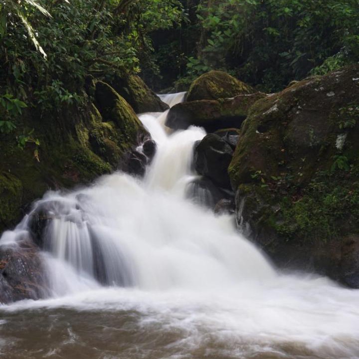 Photo of Outdoor in Tapirai