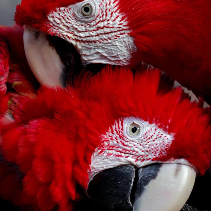 Photo of Others in Barra Grande