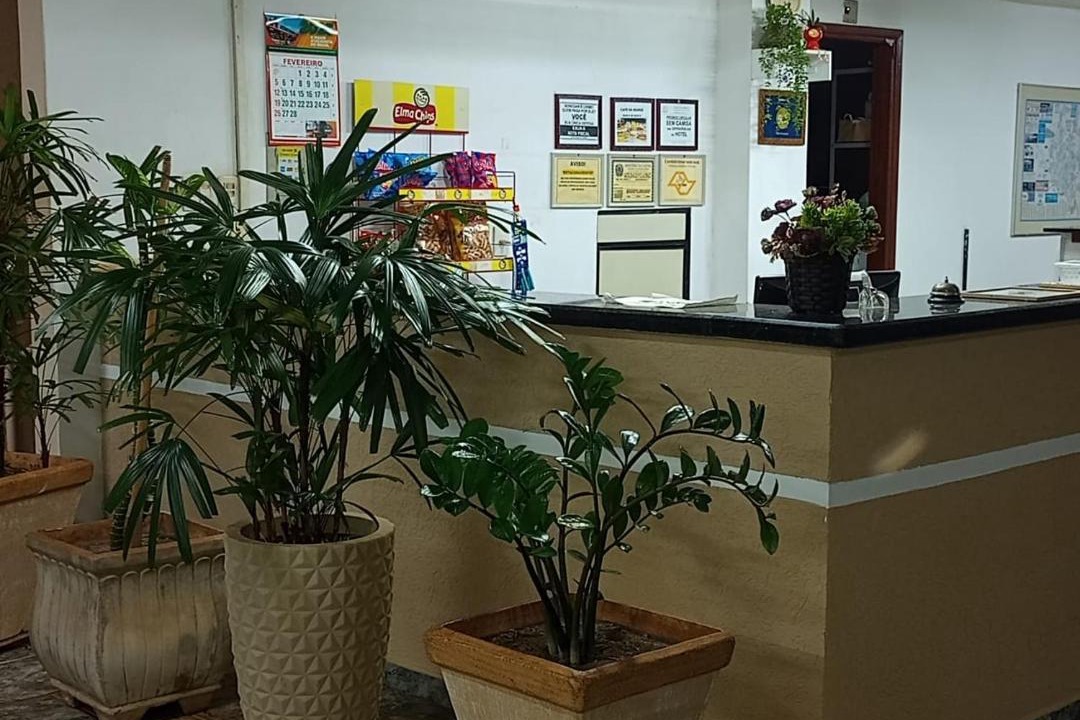 Photo of Others in Araraquara