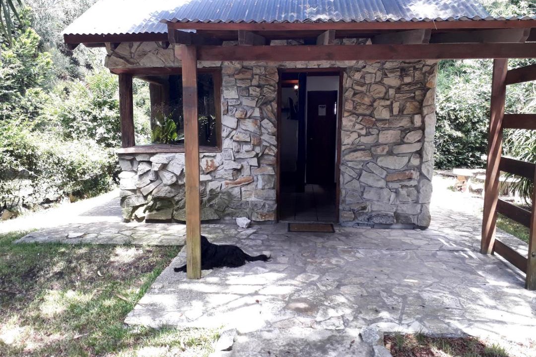 Photo of Buildings in Bosque Peralta Ramos
