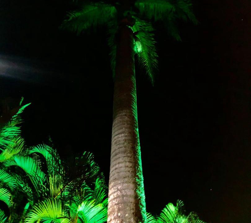 Photo of Outdoor in Suzano