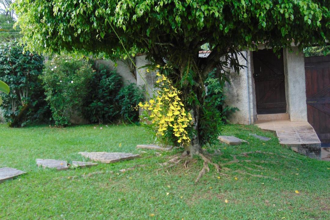 Photo of Others in Santa Branca