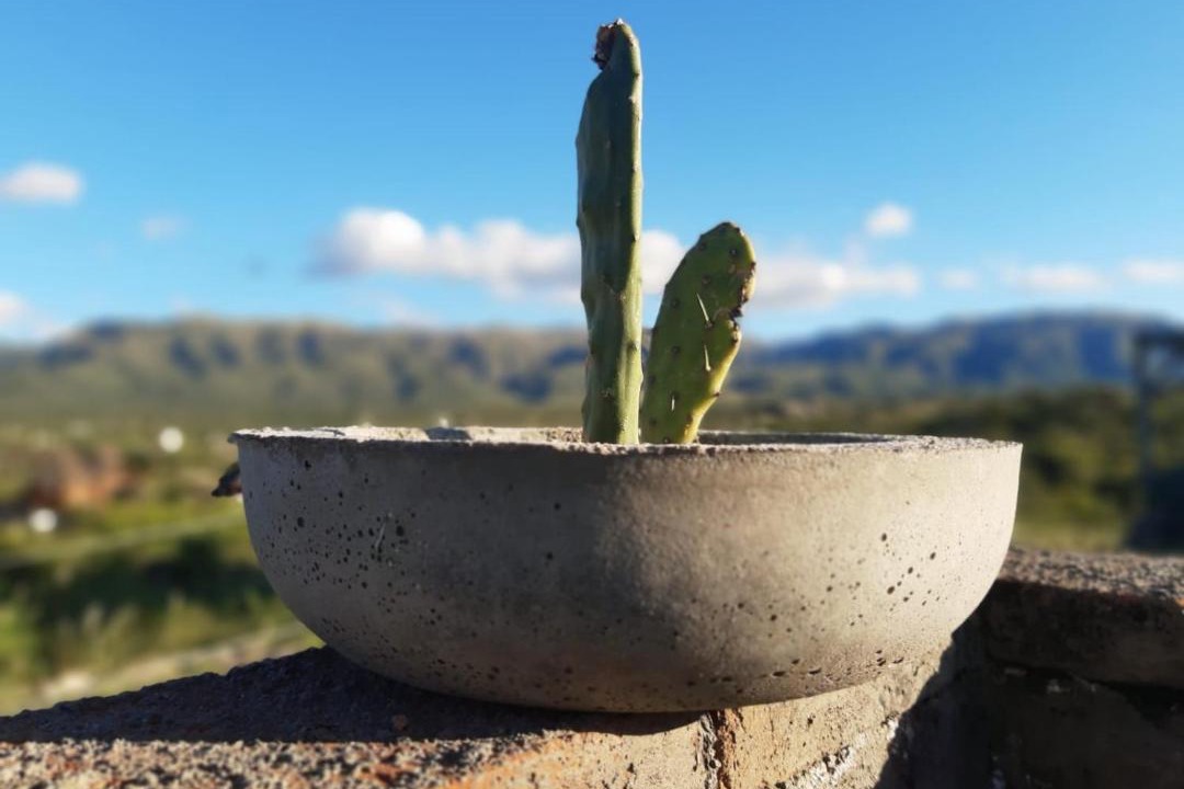 Photo of Others in San Francisco del Monte de Oro
