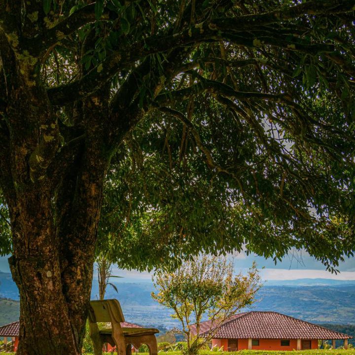 Photo of Others in Bonito