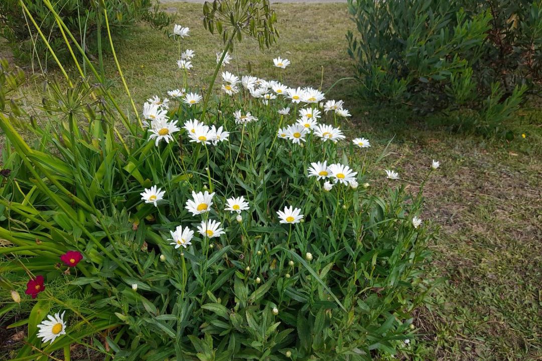 Photo of Outdoor in Colonia Chapadmalal