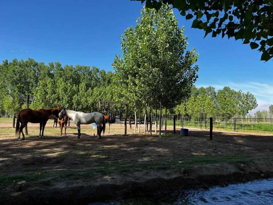 Photo of Outdoor in Vista Flores