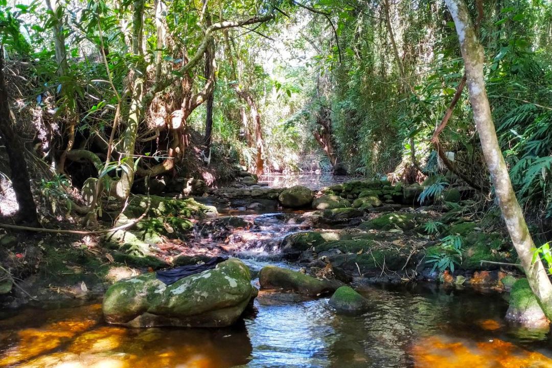 Photo of Outdoor in Pati Valley