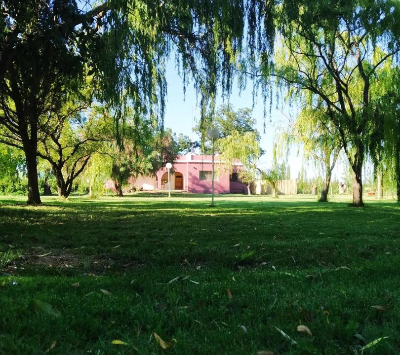 Photo of Others in Cuadro Nacional