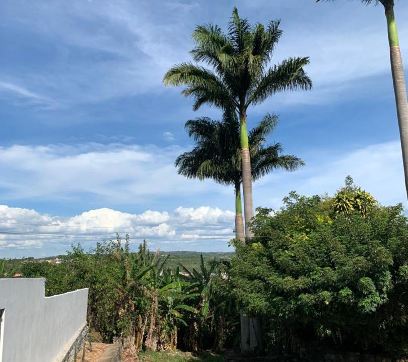 Photo of Outdoor in Triunfo