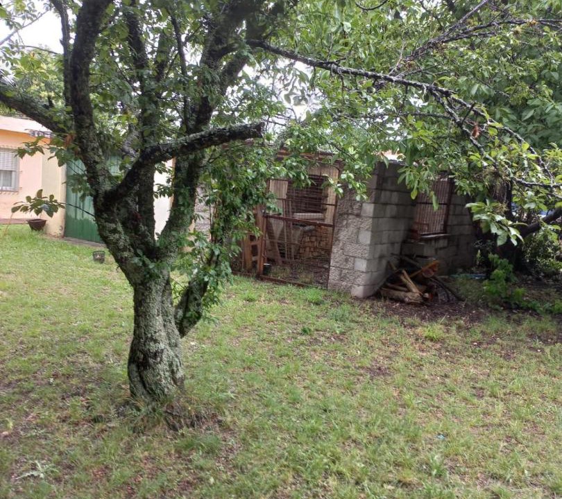 Photo of Others in Villa Giardino