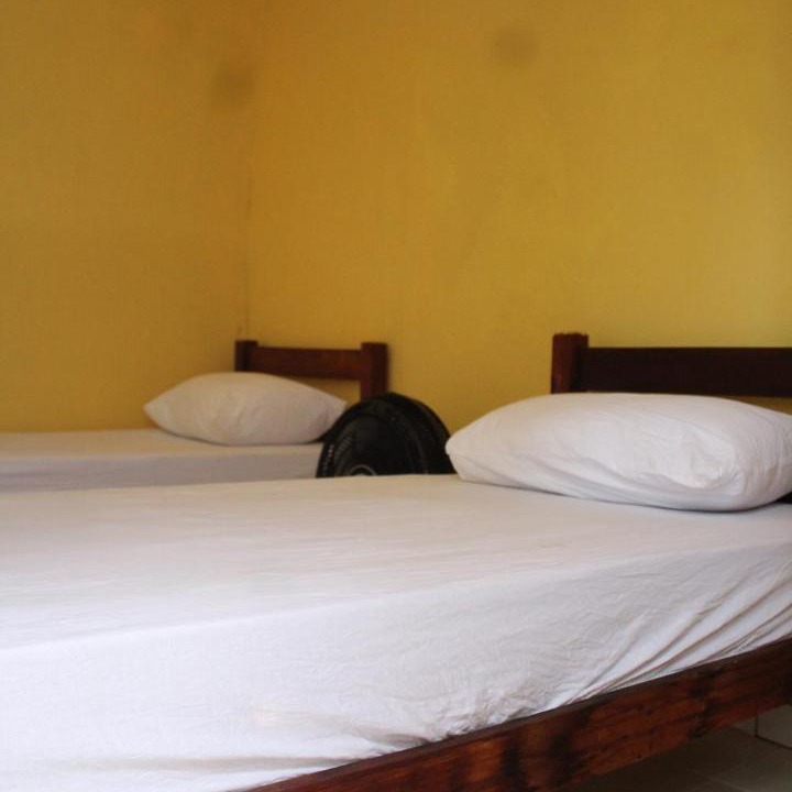 Photo of Others in Olinda