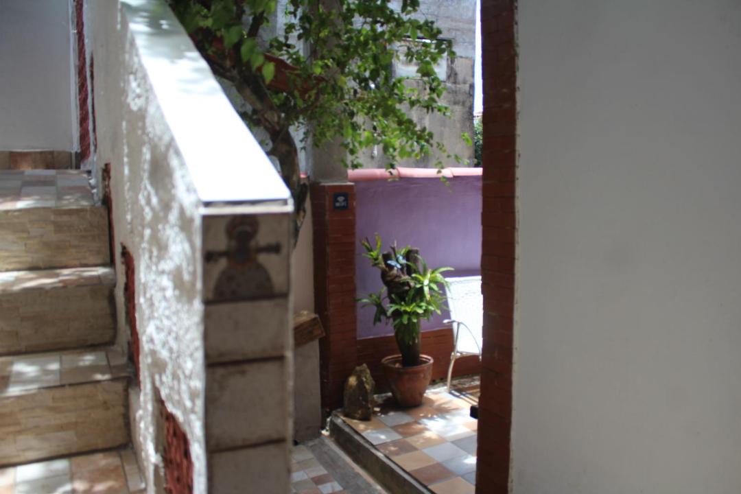 Photo of Others in Olinda