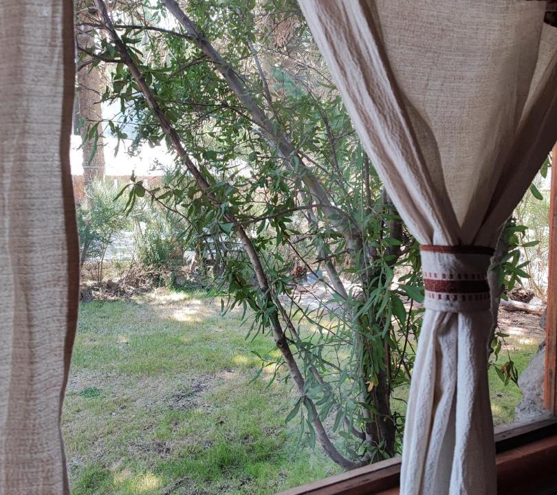 Photo of Others in Villa Pehuenia