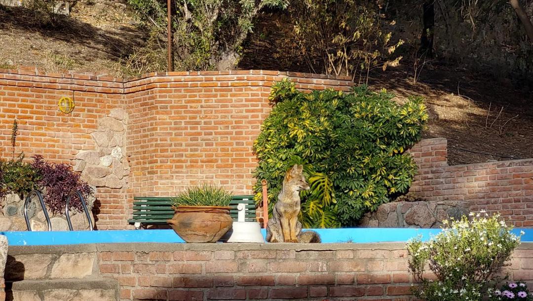 Photo of Others in Merlo