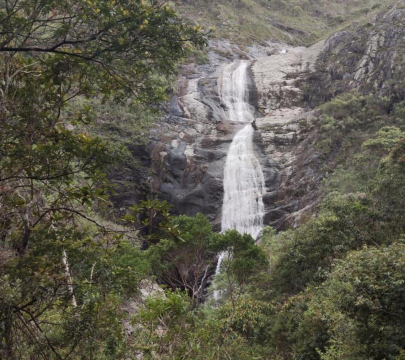 Photo of Others in Caparao National Park