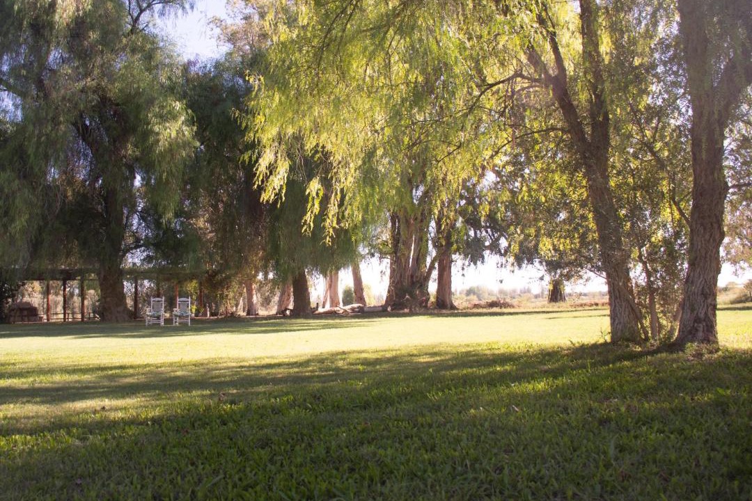 Photo of Others in San Martin