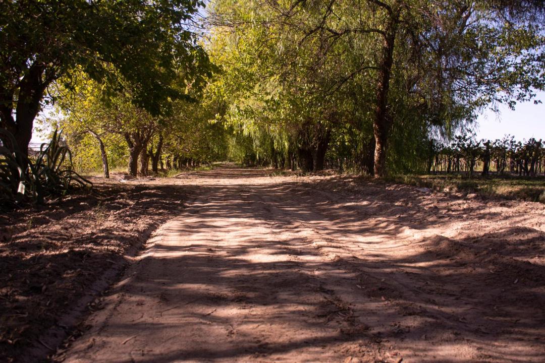 Photo of Others in San Martin