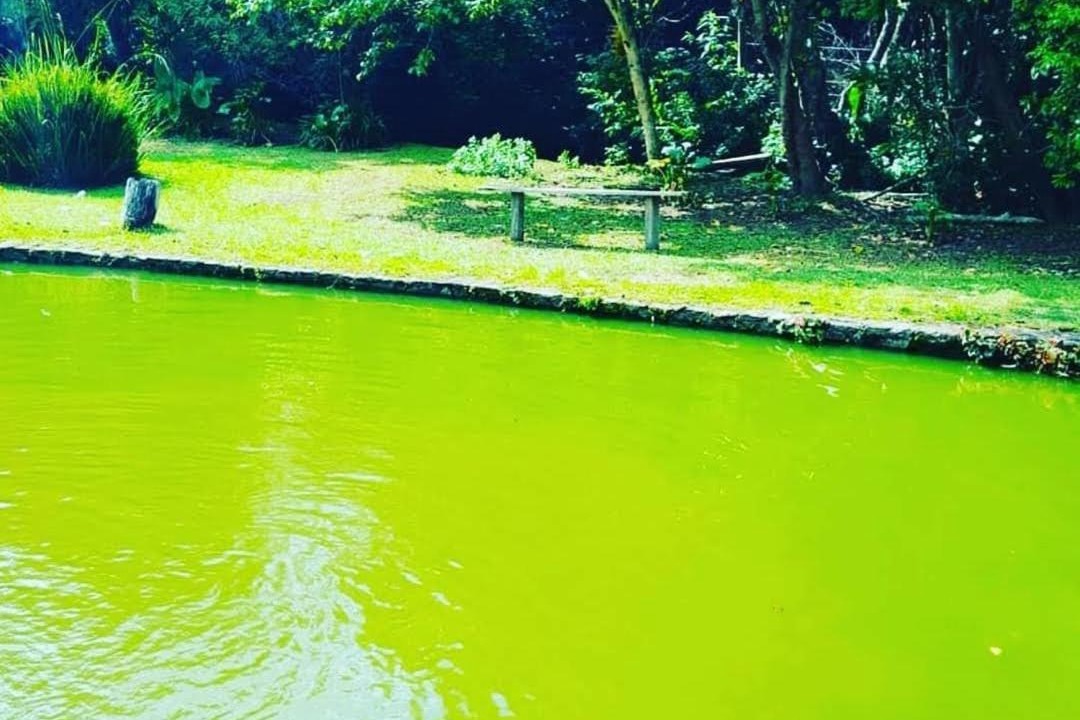 Photo of Others in Pinhalzinho
