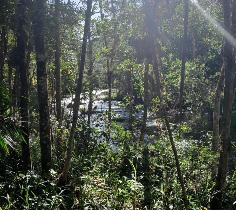 Photo of Outdoor in Sao Bonifacio