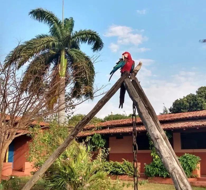 Photo of Others in Sao Domingos
