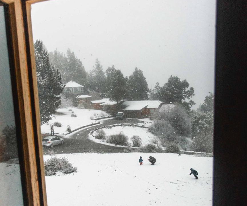 Photo of Others in Lanin National Park