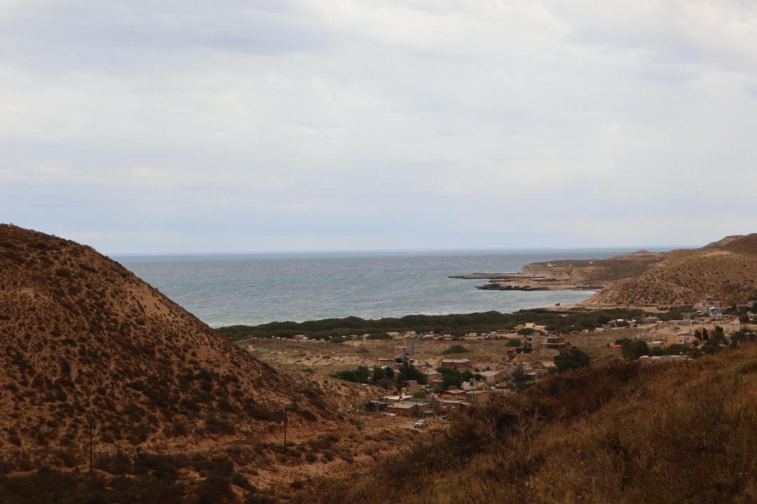 Photo of Others in Puerto Piramides